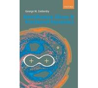 Hamiltonian Chaos and Fractional Dynamics