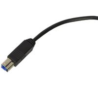 Hamlet Cavo Type C To Usb 3.0 Tipo B Maschio 1