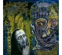 Hammers Of Misfortune - Dead Revolution