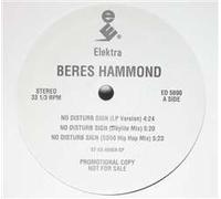 Hammond, Beres - No Disturb Sign / Stop Them