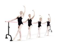HamoM Sbarra Danza Classica Asta da Balletto Mobile in Acciaio, Altezza Regolabile 80-115 cm, Forte Ventosa con Elevata capacità di carico (Size : 3M/9.8FT)
