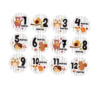 HAMPPLIES 12pezzi Adesivi Creativi Per Ragazzo Ragazza Stickers Mensili Forma Rotonda Con Motivi Animali Per Fotografare Crescita Del Tuo Ragazzo Ragazza Adesivi Per Tappe Di Crescita
