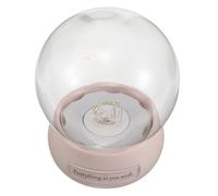 HAMPPLIES Campana di Vetro Trasparente Luce LED per Fiori Eterni, Cupola Espositiva Decorativa Base a Globo, Protezione Antipolvere per Gioielli e Statuette, Come Regalo Romantico