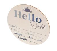 HAMPPLIES Dischi Milestone in per Decorazione Nascita e Annuncio Mese Compleanno Complimese Artigianali per Ricordare Bebè e Cameretta