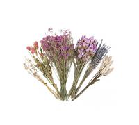 Hamster Bedding Natural Flower Odor Control Cage Safe Habitat Decor for Dwarf Hamsters Gerbils Syrian Mice