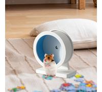 Hamster Hamster Silent Wheel Piccola Ruota Hamps Ampes