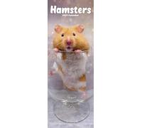 Hamsters Slim 2025 Slimline Wall Calendar | Animal, Pet Calendar