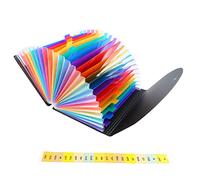 Hamwesh Cartella Portadocumenti Espandibile, 24 Tasche, Impermeabile, Antipolvere, Ecologico, in Materiale PP, Organizer per File a Fisarmonica, Organizer per Documenti con Etichette Indice per