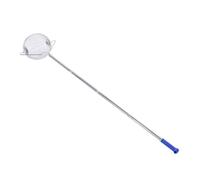 Hamwesh Raccoglinoci, Rullo per Noci Portatile Leggero in Acciaio Inossidabile 304, Raccoglitrice per Noci Pecan con Facile Montaggio Pali a 4 Sezioni per Palline da Tennis Castagne Frutta