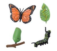 Hamwesh Set di 4 Modelli del Ciclo di Vita della Farfalla | Figure di Plastica Realistici di , Bruco, Crisalide e Adulto, Artigianato Dettagliato Ideale per Lezioni di Scienze
