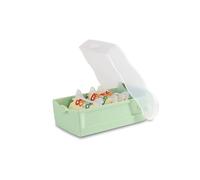 HAN 1x scatola per schede Scatola per flashcard CROCO verde pastello DIN A8 | Prodotto in Germania, DIN A8, 5 scomparti, apprendimento del vocabolario, 100 carte, a righe, 97x191x67 mm, divisorio