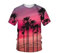 HAN MAN XIU Maglietta con Stampa 3D Sunset Coconut Plant per Uomo e Donna, Maniche Corte, Collo Rotondo, per L'Estate e l'outdoor