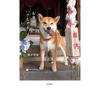 Hana-Chan of the Temple