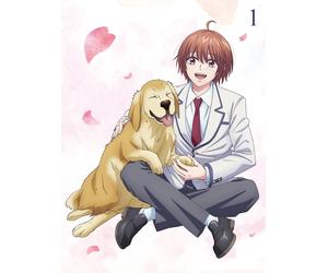 Hana-Kimi Blu-ray Disc BOX Vol.1 Limited Edition Blu-ray Japan Import NUOVO
