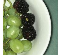 Hana Vu How Many Times Have You Driven By EP