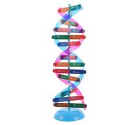 HANABASS 1 Set Dna per Studenti Struttura Doppia per Insegnamento Aula Strumento Educativo