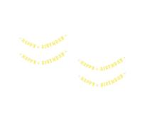 HANABASS 2 Set La Piccola Margherita Tira La Bandiera Forniture Per Feste Di Compleanno Ornamento Da Parete Per Feste Di Compleanno Banner Di Buon Compleanno Yellow 2 Pezzi*2