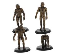 HANABASS 4 Pezzi Di Scimmia Del Corpo Umano Modelli Umani Primitivi Realistico Di Evoluzione Umana Scimmia Disposizione Di Oggetti Di Scena Statua Umana Di Scimmia