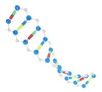 HANABASS Dna a Doppia Autoassemblante per Studenti Kit Didattico per l'Insegnamento della Ferramenta per Comprendere la Struttura Molecolare del Dna