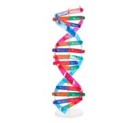 HANABASS Dna Doppia Didattico per Scuola Media Kit Scientifico Educativo per Insegnamento Biologia Strumento Interattivo per Comprensione Molecolare