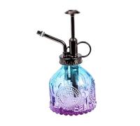 HANABASS Flacone Spray Vetro Vintage per Piante con Nebulizzatore Pompa Trasparente e Spill Irrigatore Decorativo per Casa e Giardino Design Gradiente Casual