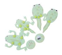 HANABASS Kit Educativo Ciclo e Girino Dettagliato Trasformazione per Materiale Didattico Animali e Apprendimento Manuale Interattivo