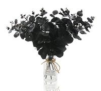 Hananona 6 steli di eucalipto artificiale, rami di eucalipto da 35,6 cm, bouquet per composizioni floreali fai da te, fiori di seta per la casa, Halloween, decorazione della fattoria (nero, 6)