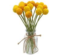 Hananona Craspedia Globosa Benth, Crisantemo della bacchetta australiana, fiore della vita eterna per casa, matrimoni, feste a tema (giallo e arancione, 18)