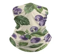 Hand Drawn Blueberries Scaldacollo Elastico Headwrap Multiuso Sciarpa al Collo per Estivo Pesca Traspirante Fascia per Capelli