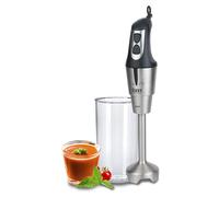Hand-Held Blender Tm Electron Stainless Steel 650 W NUOVO