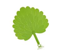 Handheld Portable Fan - Party Props Cooling Fan | Tail Shape Cooling Tool | Fans Eco Friendly Options Sustainable Materials For Travel Outdoor Office Home Performance Camping Party Hiking Commuting