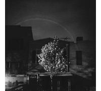 Open City - Hands In The Honey Jar