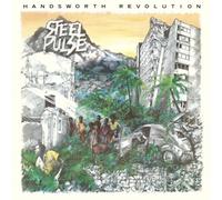 handsworth revolution