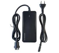 HANERIDE Caricatore da 2 A per batterie Bosch di Performance e Active Line, compatibile con Haibike KTM Kalkhoff Flyer Bergamont Ghost Trek Ebike con motore Bosch
