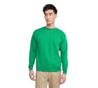 Hanes EcoSmart Fleece, Pullover Crewneck Sweatshirt, 1 Or 2 Pack Maglia di Tuta, Verde Kelly, XXL Uomo