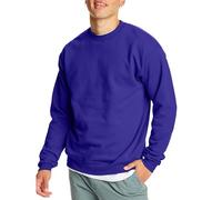 Hanes EcoSmart Fleece, Pullover Crewneck Sweatshirt, 1 Or 2 Pack Maglia di Tuta, Viola, XL Uomo