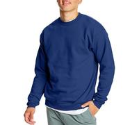 Hanes Men's 2 Pack EcoSmart Fleece Sweatshirt, Deep Royal, X-Large