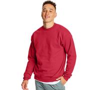 Hanes Mens Ecosmart Spaccata rossa profonda US