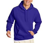 Hanes Men's Pullover EcoSmart Fleece Hooded Sweatshirt, Purple, 2XL
