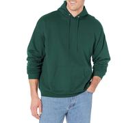 Hanes mens Pullover Ecosmart Hooded athletic sweatshirts Deep Forest 3XLarge US