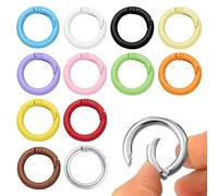 HANIUTTY 12 Pezzi Mini Portachiavi con Moschettone Rotondo in Metallo Piccolo 24 mm Anello Diviso O Ring Portachiavi Moschettone Portafoglio Clip a Catena Accessori Portachiavi Fai da te