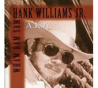 Hank Williams Jr. Houston, We Have A Problem