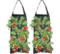 hankousi 2 sacchetti per piante di fragole da appendere, verticali, in polietilene, con 8 fori, per coltivare fragole sospese, con manici, per giardinaggio all'aperto, erbe, verdure