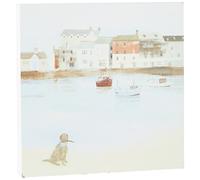 Hannah Cole (Cane di Mare della Cornovaglia, 20 x 20 cm, Multicolore