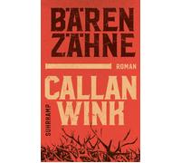 Hannes Meyer Ca Bärenzähne: Roman Zwei Brüder im Kampf mit (Copertina rigida)