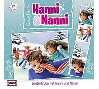 Enid Blyton - 17/HANNI UND NANNI-WINTERTRU