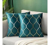 Hanrunsi Fodera per Cuscino Anatra Blu 40x40 Cuscini Decorativi per divani Blu Federe Morbidi Cuscini Decorativi in Velluto Verde Acqua per Soggiorno, Divano, Camera da Letto, Set di 2
