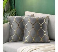 Hanrunsi Fodere per Cuscini Grigi Velluto 45cmx45cm Quadrati Decorativi 2 Pezzi Fodere per Cuscini in Velluto per Divano Cuscini per Divano Letto Soggiorno Decorazioni per La Casa