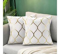 Hanrunsi Fodere per Cuscini Velluto 18x18 Decorativi per Divani Bianco 2 Pezzi Federe per Cuscini Morbide Decorative con Dipinto Dorato per Cuscino del Divano Letto Auto 45x45
