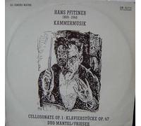 Hans Pfitzner - Kammermusik